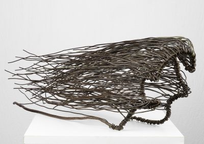 Capelli al vento