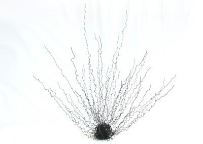 Big Bang